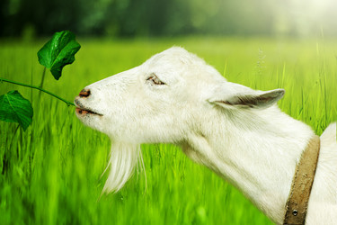 Similar image 6477388