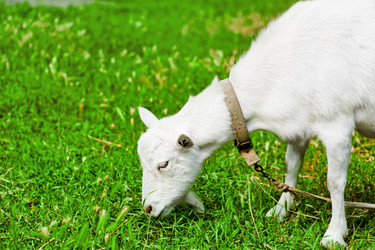 Similar image 6477390