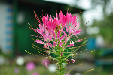 Similar image 6477420