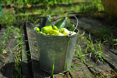 Similar image 6477421