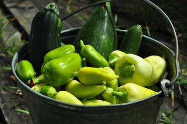 Similar image 6477422