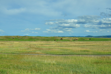 Similar image 6477423