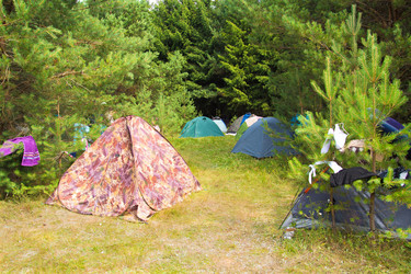 Similar image 6477484