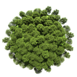 Similar image 6477489