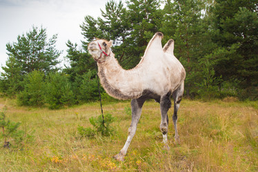 Similar image 6477505