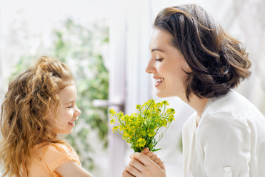 Similar image 6477540