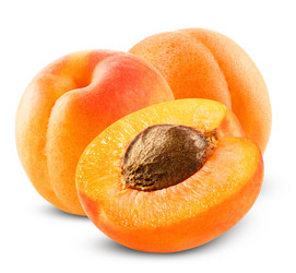 Similar image 6477556