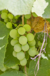 Similar image 6477564