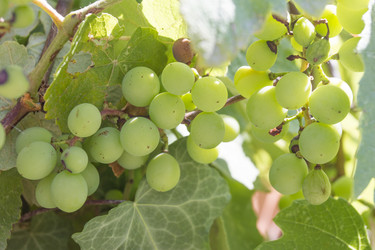 Similar image 6477566