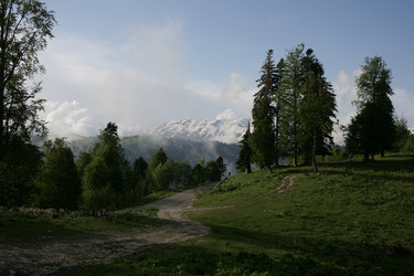 Similar image 6477568