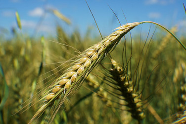 Similar image 6477725