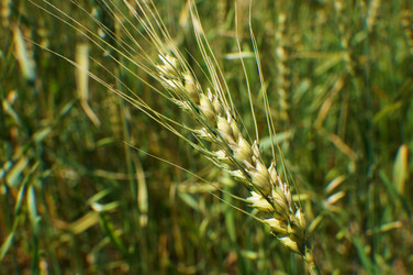 Similar image 6477727