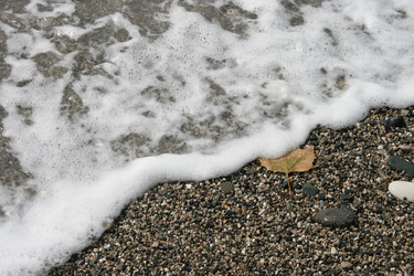 Similar image 6477741