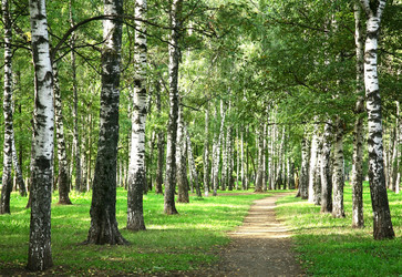 Similar image 6477743