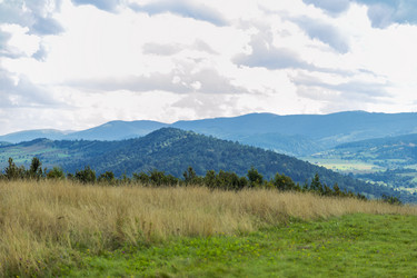 Similar image 6477756