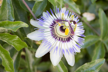 Similar image 6477758