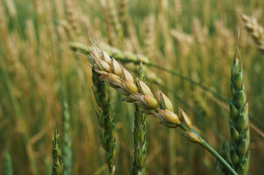 Similar image 6477763