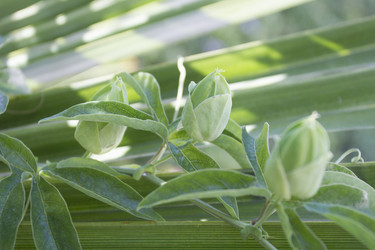 Similar image 6477770