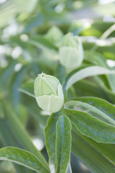 Similar image 6477772