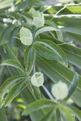 Similar image 6477773