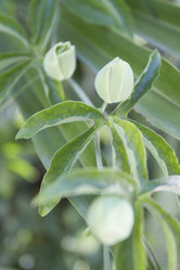 Similar image 6477774