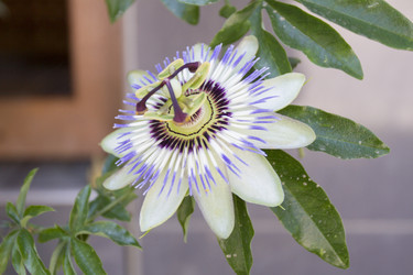 Similar image 6477775