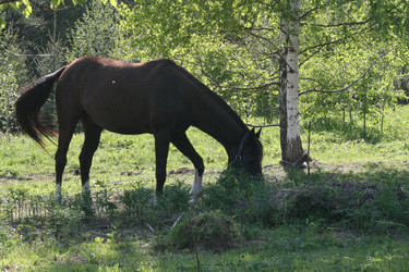 Similar image 6477777