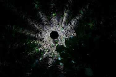 Similar image 6477780