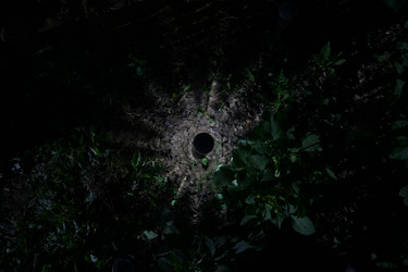 Similar image 6477781