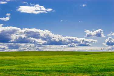 Similar image 6477784