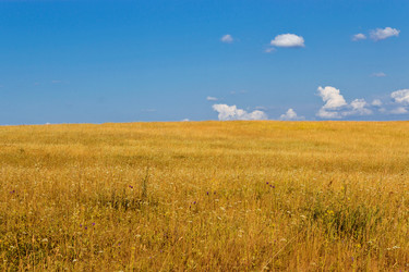 Similar image 6477787