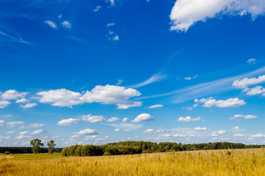 Similar image 6477788