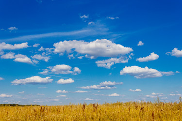 Similar image 6477790