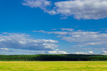 Similar image 6477791