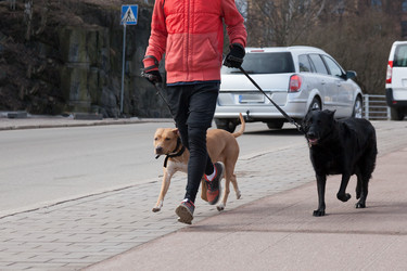 Similar image 6477801