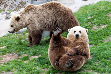 Similar image 6477806