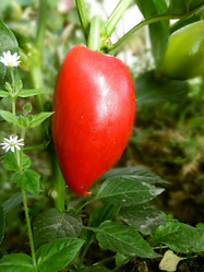 Similar image 6477808