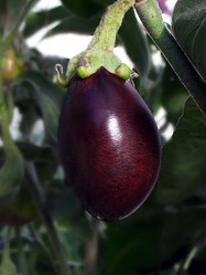 Similar image 6477809