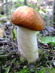 Similar image 6477811