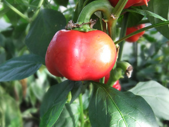 Similar image 6477813