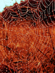 Similar image 6477815