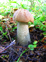 Similar image 6477816