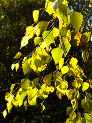 Similar image 6477817