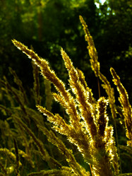 Similar image 6477818