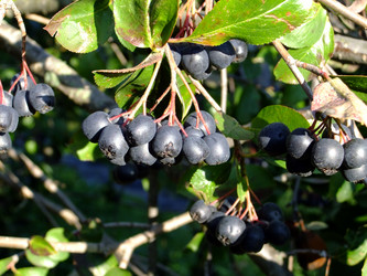 Similar image 6477819