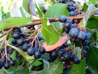 Similar image 6477820