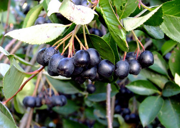 Similar image 6477821