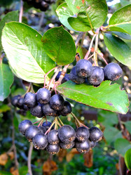 Similar image 6477822