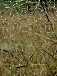 Similar image 6477823