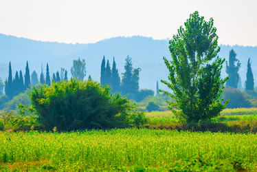 Similar image 6477832